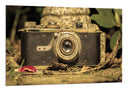 Cuadro camara leica antigua, vintage, sepia