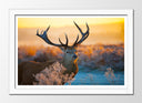 Cuadro enmarcado blanco ciervo en naturaleza, puesta de sol, atardecer