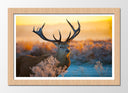 Cuadro enmarcado natural ciervo en naturaleza, puesta de sol, atardecer