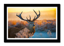 Cuadro enmarcado negro ciervo en naturaleza, puesta de sol, atardecer