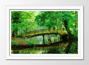 Cuadro enmarcado blanco Paisaje de Puente, Bosque, Naturaleza