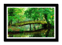 Cuadro enmarcado negro Paisaje de Puente, Bosque, Naturaleza