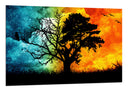 Cuadro Arbol Dia y Noche, Naturaleza,arbol de la vida