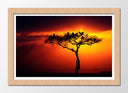Cuadro enmarcado natural Arbol Africano, Atardecer,naturaleza