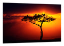 Cuadro Arbol Africano, Atardecer,naturaleza