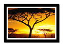 Cuadro enmarcado negro Arbol Africano, Atardecer, Naturaleza