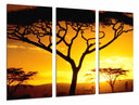 Tríptico Arbol Africano, Atardecer, Naturaleza