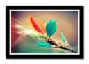 Cuadro enmarcado negro Decoracion Detalle de Hojas de Colores,rama