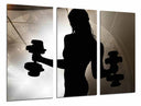 Tríptico silueta mujer con mancuernas, deporte, sombra