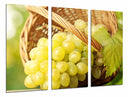 Tríptico uva blanca sobre cesto, vino