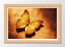 Cuadro enmarcado natural mariposa, otoño, tonos ocres, animal, naturaleza