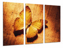 Tríptico mariposa, otoño, tonos ocres, animal, naturaleza