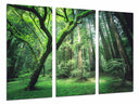 Tríptico Bosque en Verano, Arboleda en la Montaña,naturaleza