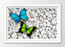 Cuadro enmarcado blanco mariposa verde y azul en fondo de piedra