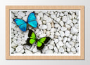 Cuadro enmarcado natural mariposa verde y azul en fondo de piedra