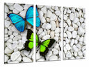 Tríptico mariposa verde y azul en fondo de piedra