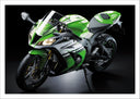 Lámina Moto Kawasaki ZX-10R, Verde, Carretera