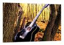 Cuadro Guitarra Acústica
