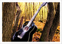 Lámina Guitarra Acústica