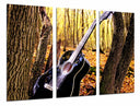 Tríptico Guitarra Acústica