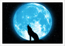 Lámina lobo aullando en la luna de noche, salvaje, animal, naturaleza