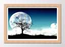 Cuadro enmarcado natural Naturaleza en la Noche, Luna LLena, Arbol