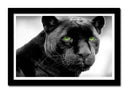 Cuadro enmarcado negro pantera negra, ojos verdes, jaguar, salvaje, animal