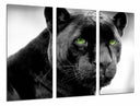 Tríptico pantera negra, ojos verdes, jaguar, salvaje, animal