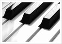 Lámina Teclas Piano