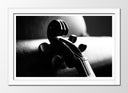 Cuadro enmarcado blanco Violin Clásica
