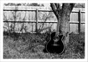 Lámina Guitarra Acústica