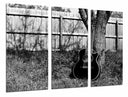 Tríptico Guitarra Acústica