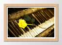 Cuadro enmarcado natural Piano Antiguo Vintage