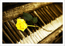 Lámina Piano Antiguo Vintage
