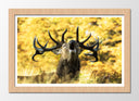 Cuadro enmarcado natural ciervo en la naturaleza, berrea, otoño, salvaje, naturaleza