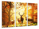 Tríptico ciervo en el bosque, otoño, naturaleza, salvaje, animal