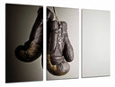 Tríptico Deporte Boxeo, Guante Marron, Gris, Motivacion