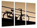 Tríptico Paisaje Bicicleta de Paseo Atardecer, Bici