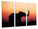 Tríptico paisaje cria de elefante en atardecer, salvaje, animal, naturaleza