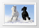 Cuadro enmarcado blanco caballo blanco y negro galopando en la nieve, salvaje, naturaleza