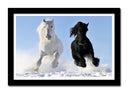 Cuadro enmarcado negro caballo blanco y negro galopando en la nieve, salvaje, naturaleza