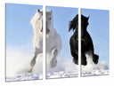 Tríptico caballo blanco y negro galopando en la nieve, salvaje, naturaleza