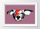 Cuadro enmarcado blanco David Bowie Perro Rock