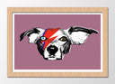 Cuadro enmarcado natural David Bowie Perro Rock