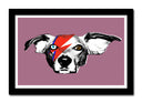Cuadro enmarcado negro David Bowie Perro Rock