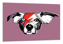 Cuadro David Bowie Perro Rock