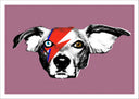Lámina David Bowie Perro Rock