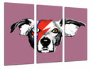 Tríptico David Bowie Perro Rock