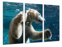 Tríptico oso polar buceando, nadar, pesca, salvaje, oceano