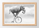 Cuadro enmarcado natural elefante en bici antigua, hypster, equilibrista, blanco y negro